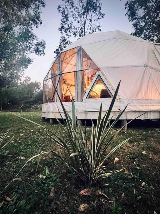 Magia Ecolodges, Glamping Punta Colorada Extérieur photo